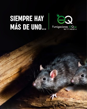 Imagen 10 de servicio