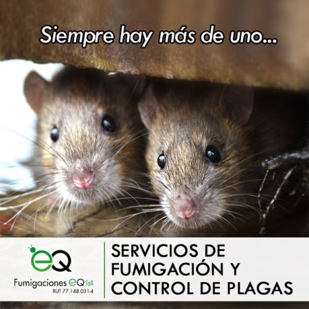Imagen 8 de servicio
