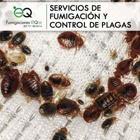 Imagen 9 de servicio