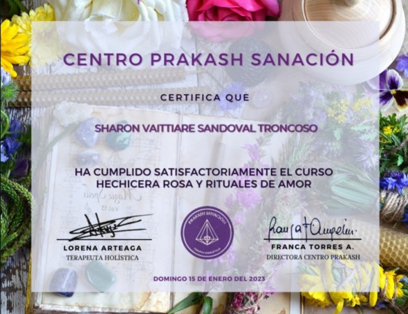Imagen 12 de servicio