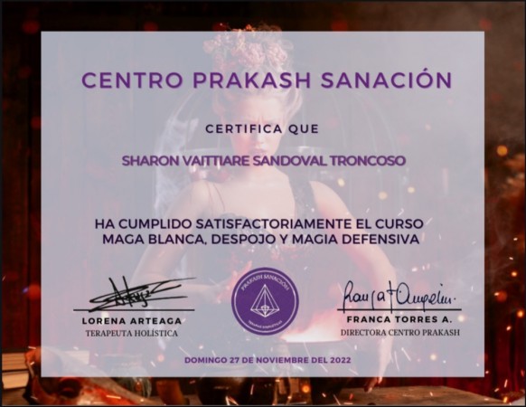 Imagen 11 de servicio