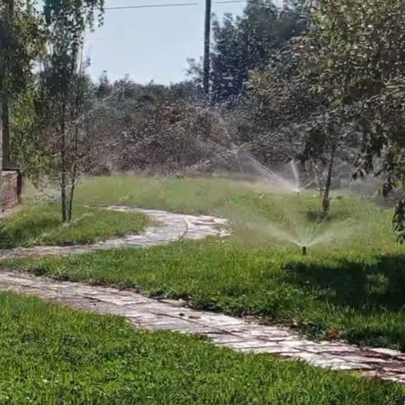 Imagen 3 de servicio