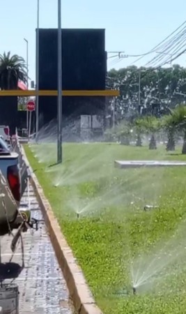 Imagen 5 de servicio