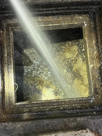 Imagen 6 de servicio