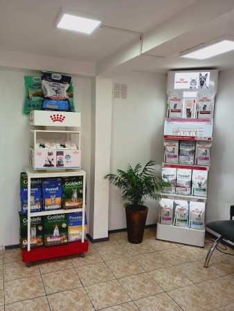 Imagen 4 de servicio