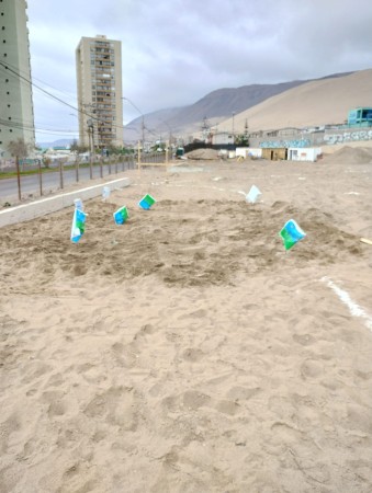 Imagen 6 de servicio