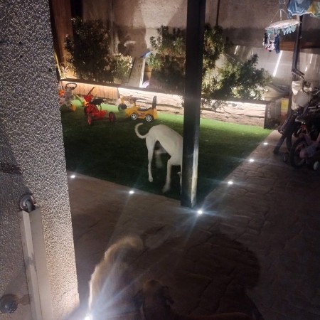 Imagen 34 de servicio