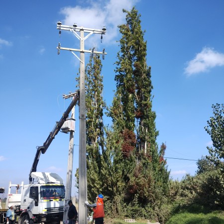 Imagen 53 de servicio