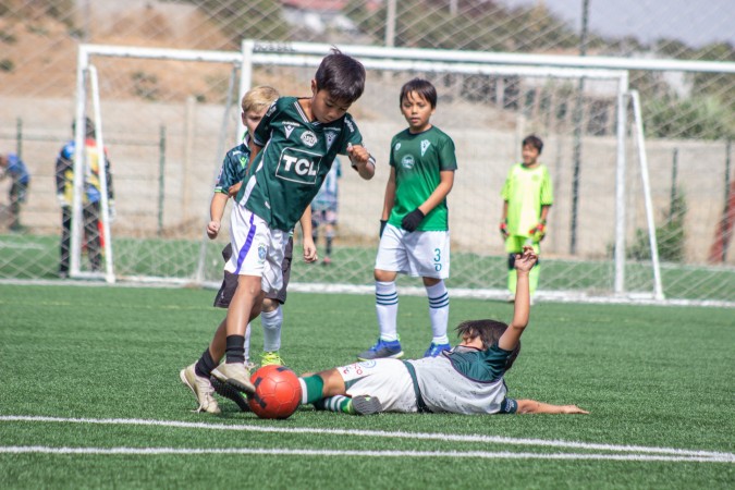Imagen 10 de servicio
