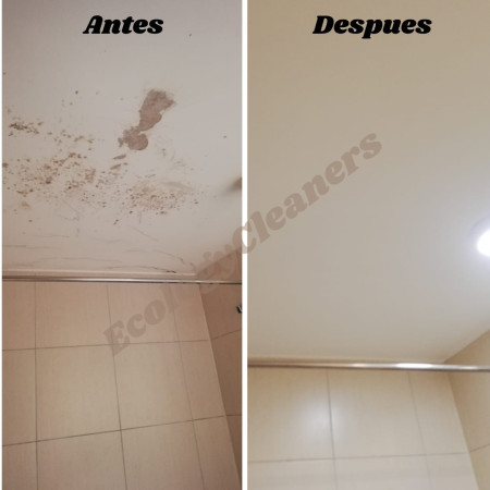 Imagen 6 de servicio