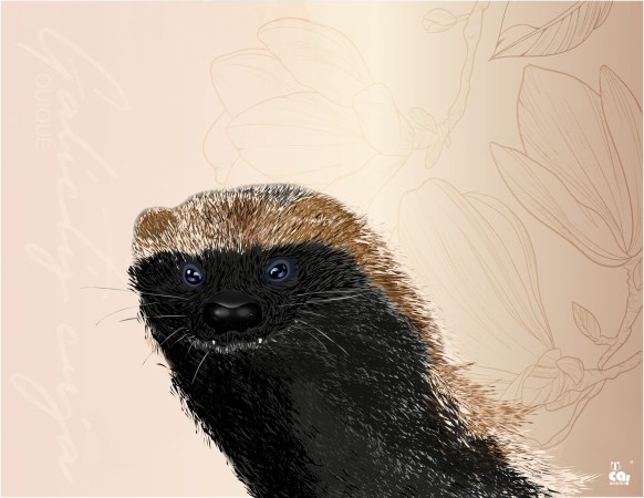 Imagen 6 de servicio