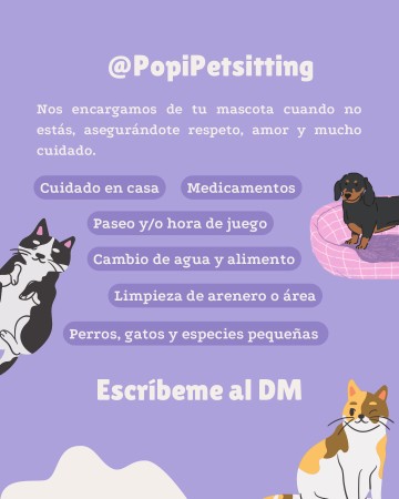 Imagen 0