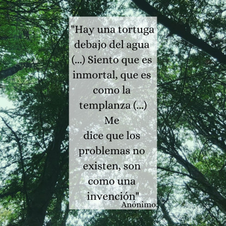 Imagen 0