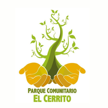Imagen 16 de servicio