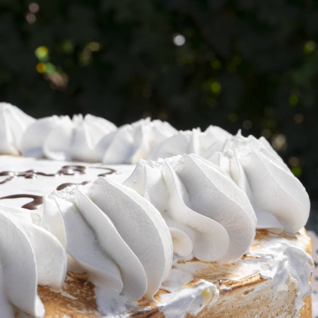 Imagen 30 de servicio