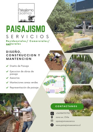 Imagen 21 de servicio
