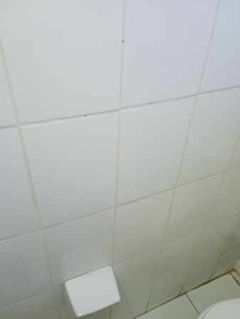 Imagen 9 de servicio