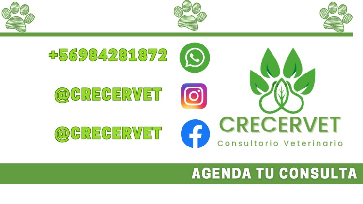 Imagen 0