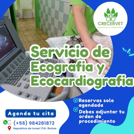 Imagen 4 de servicio