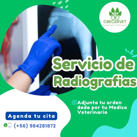 Imagen 5 de servicio