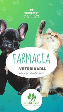 Imagen 6 de servicio