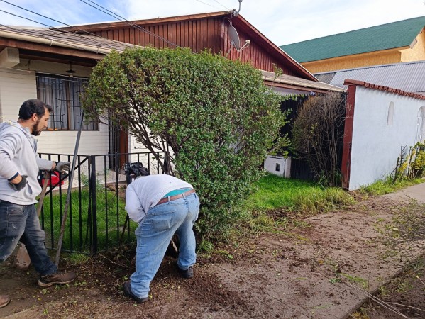 Imagen 49 de servicio