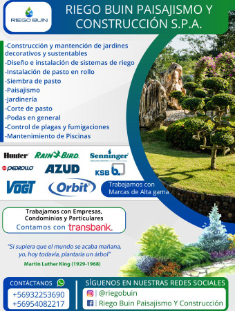 Imagen 3 de servicio