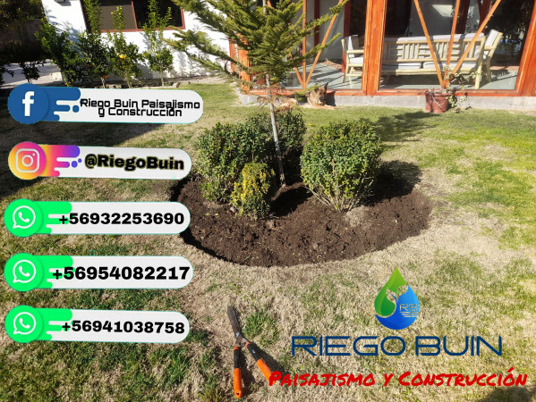 Imagen 4 de servicio