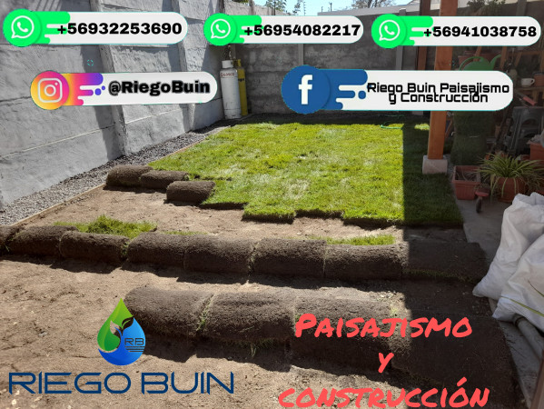 Imagen 5 de servicio