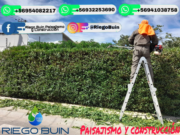 Imagen 6 de servicio