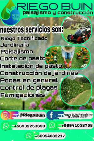 Imagen 9 de servicio