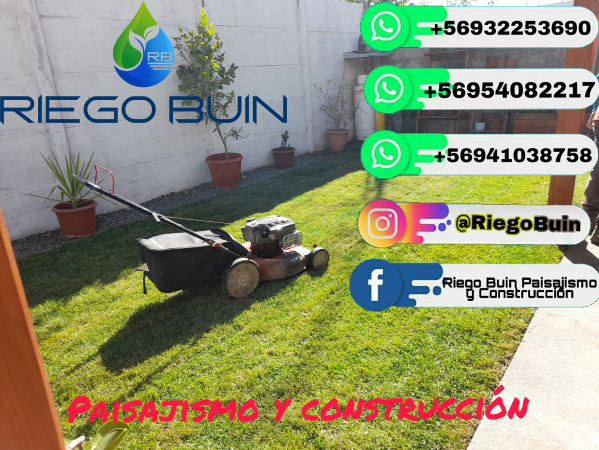 Imagen 14 de servicio