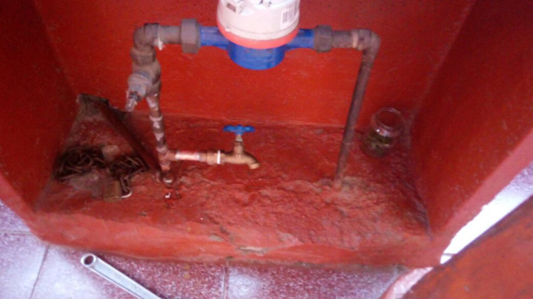 Imagen 5 de servicio