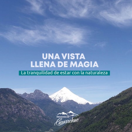 Imagen 5 de servicio