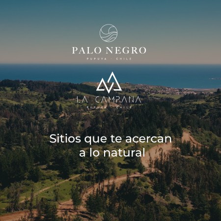 Imagen 15 de servicio