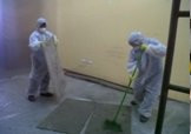 Imagen 6 de servicio