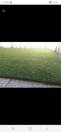 Imagen 3 de servicio