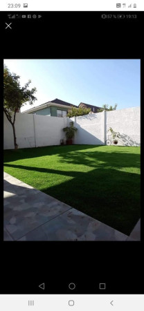 Imagen 5 de servicio