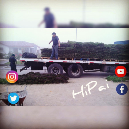 Imagen 23 de servicio