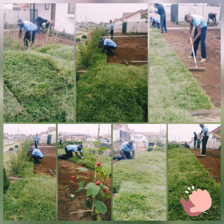 Imagen 31 de servicio
