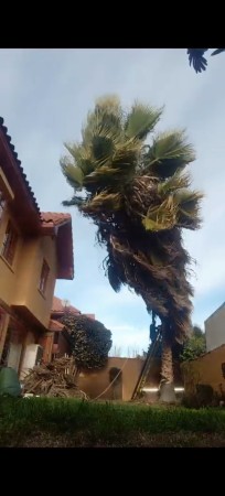 Imagen 3 de servicio