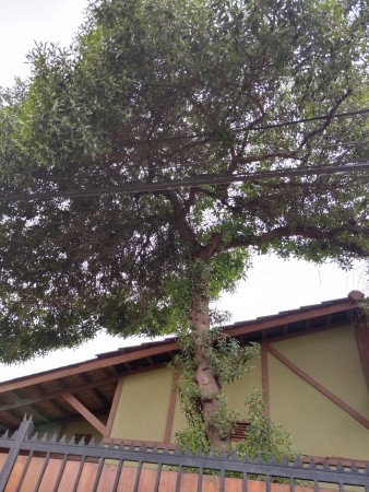 Imagen 6 de servicio