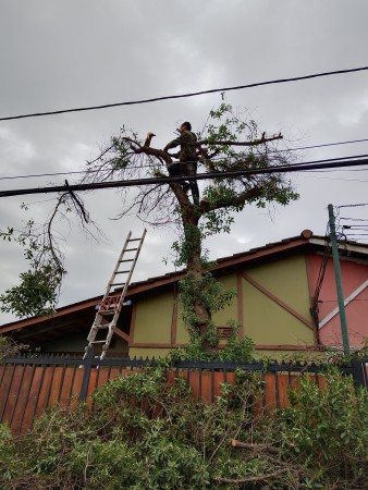 Imagen 7 de servicio