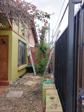Imagen 5 de servicio