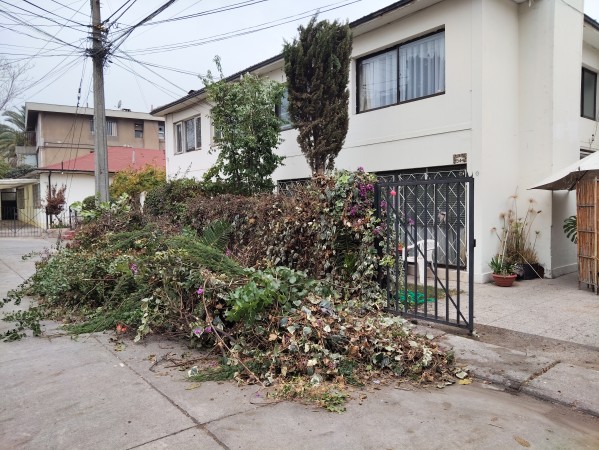 Imagen 15 de servicio