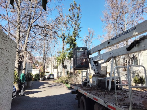 Imagen 20 de servicio