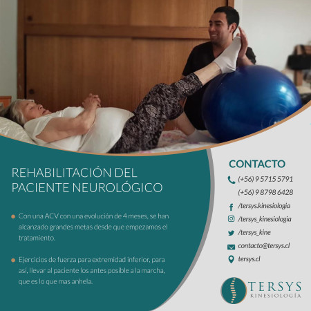 Imagen 2