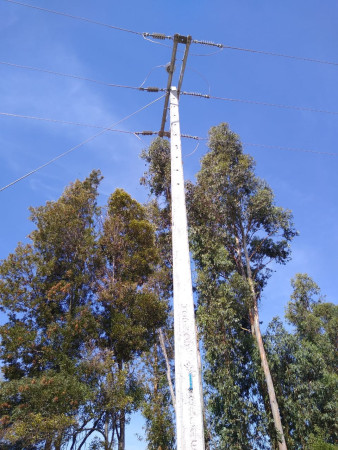 Imagen 9 de servicio
