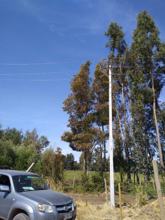 Imagen 10 de servicio