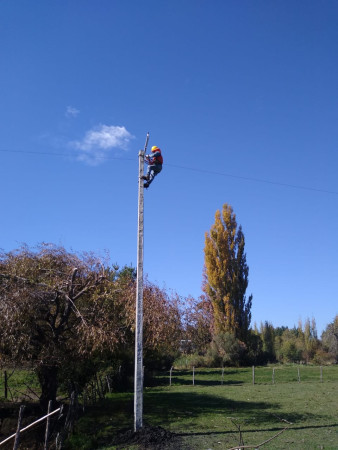 Imagen 36 de servicio